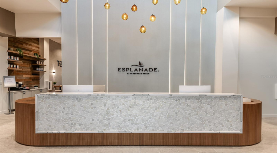 Esplanade At Wiregrass Ranch Community
