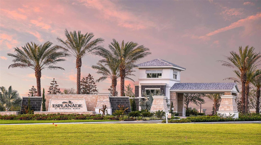 Esplanade At Wiregrass Ranch Community
