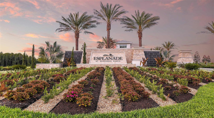 Esplanade At Wiregrass Ranch Community