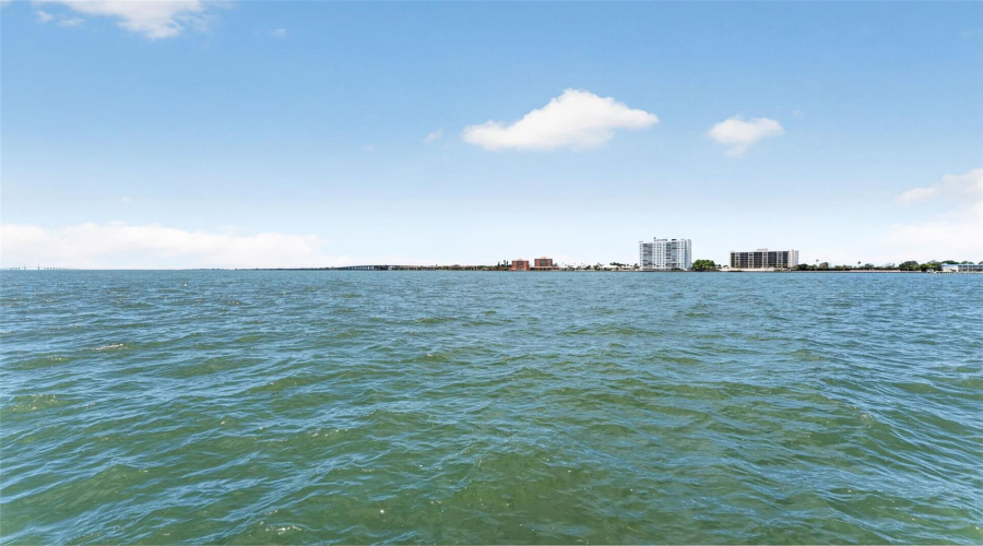Enjoy The Wildlife In Your Backyard Including Dolphins, Manatees, Birds, Fish And More!