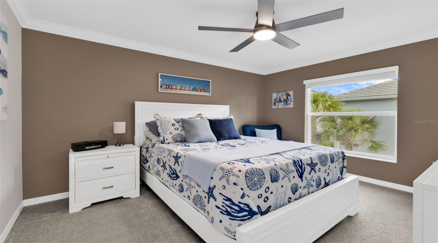 Secondary Bedroom