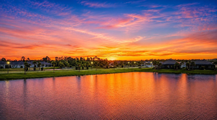 Morning Sunrise