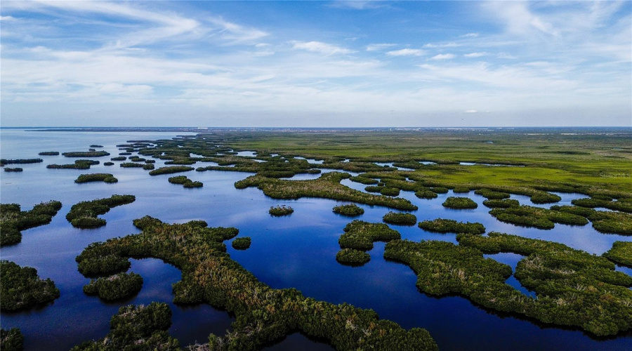 Charlotte Harbor Eastern Wall