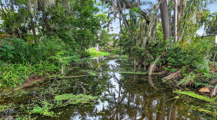 Yalaha, Florida 34797, 3 Bedroom Bedrooms, ,2 Bathroombathrooms,Residential,For Sale,Spring,0,Mfrg5116820