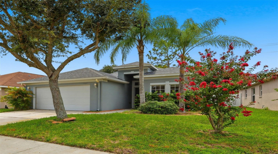 Zephyrhills, Florida 33541, 3 Bedroom Bedrooms, ,2 Bathroombathrooms,Residential,For Sale,Smart,0,Mfrtb8541914