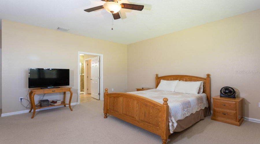 Knock Down Ceilings And Ceiling Fan