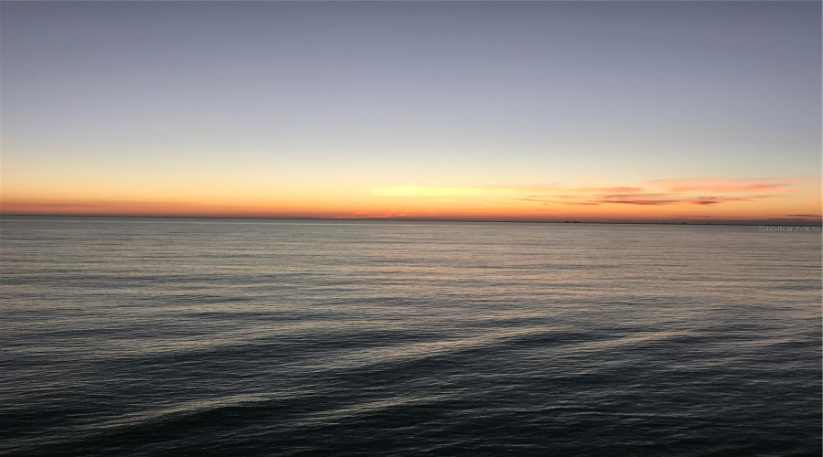 Take The Fur Baby To Watch The Sunrise