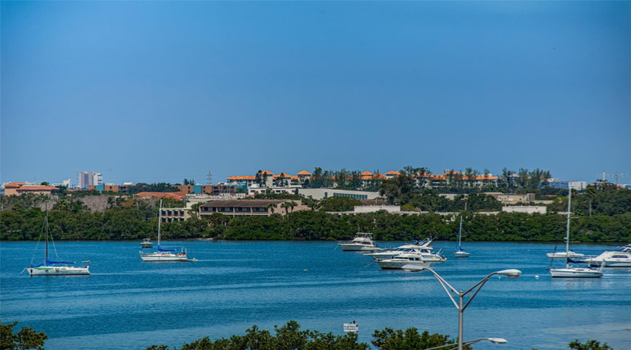 View From Balcony