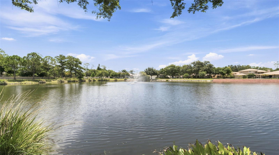 Oldsmar, Florida 34677, 3 Bedroom Bedrooms, ,2 Bathroombathrooms,Residential,For Sale,Riverdale,0,Mfrtb8521939