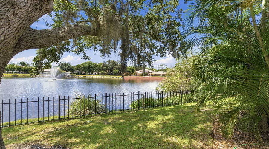 Oldsmar, Florida 34677, 3 Bedroom Bedrooms, ,2 Bathroombathrooms,Residential,For Sale,Riverdale,0,Mfrtb8521939