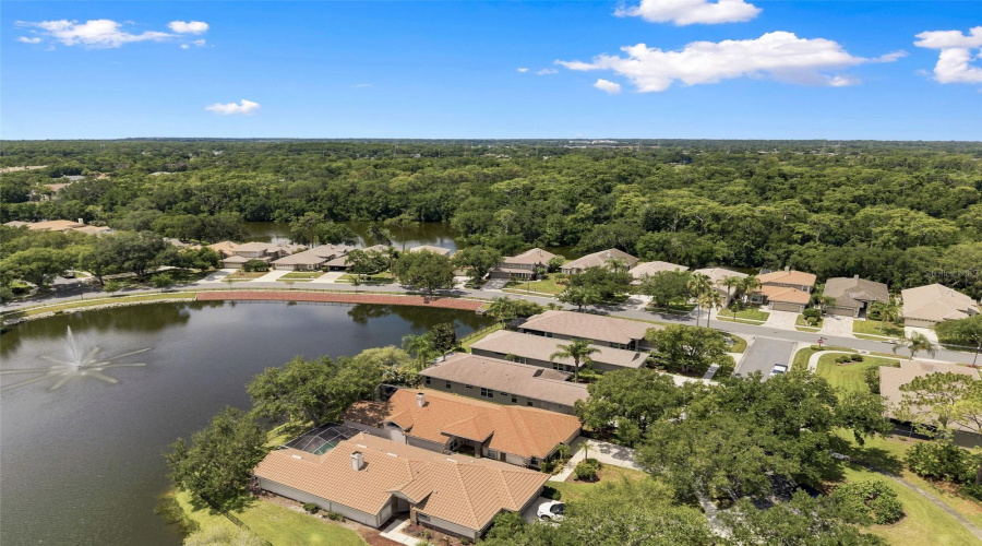 Oldsmar, Florida 34677, 3 Bedroom Bedrooms, ,2 Bathroombathrooms,Residential,For Sale,Riverdale,0,Mfrtb8521939