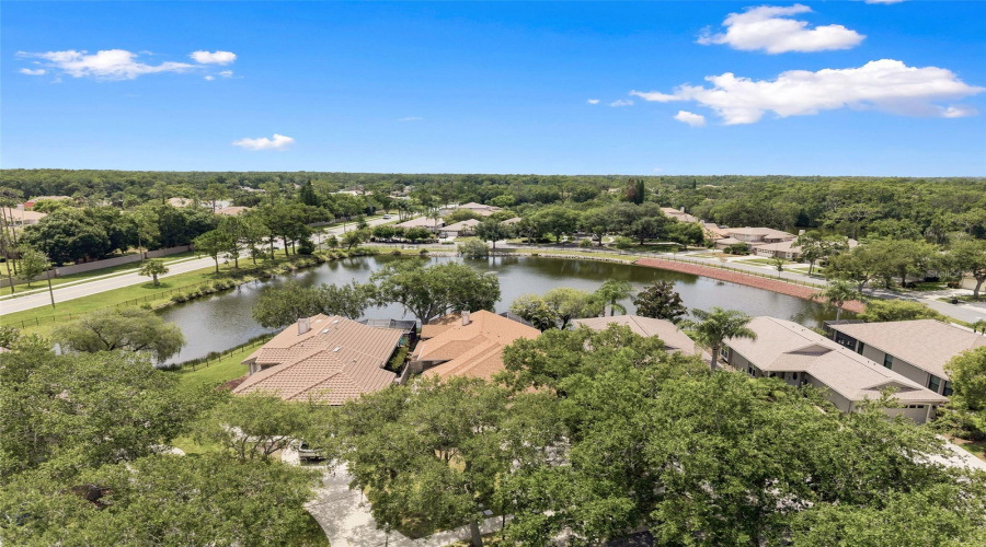 Oldsmar, Florida 34677, 3 Bedroom Bedrooms, ,2 Bathroombathrooms,Residential,For Sale,Riverdale,0,Mfrtb8521939