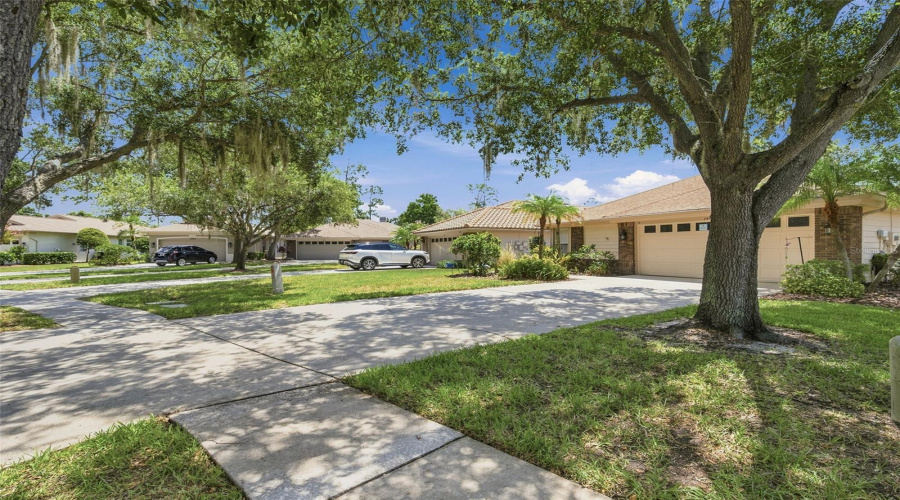 Oldsmar, Florida 34677, 3 Bedroom Bedrooms, ,2 Bathroombathrooms,Residential,For Sale,Riverdale,0,Mfrtb8521939