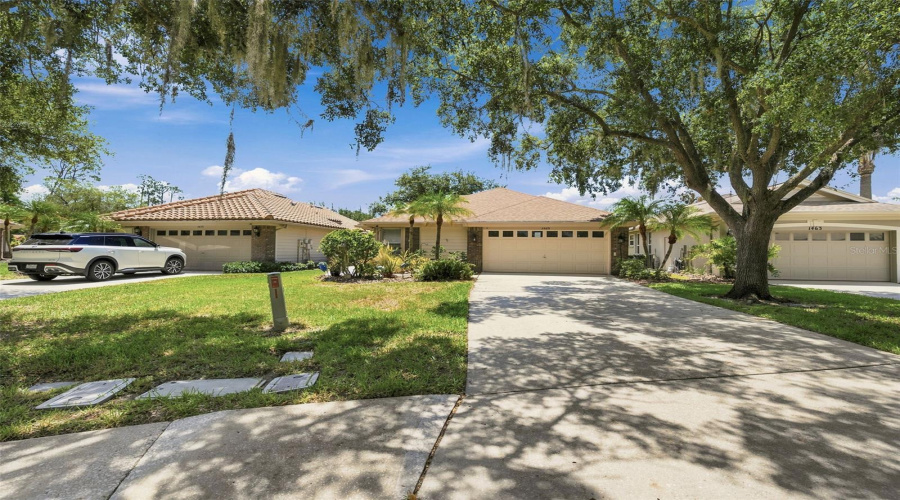 Oldsmar, Florida 34677, 3 Bedroom Bedrooms, ,2 Bathroombathrooms,Residential,For Sale,Riverdale,0,Mfrtb8521939