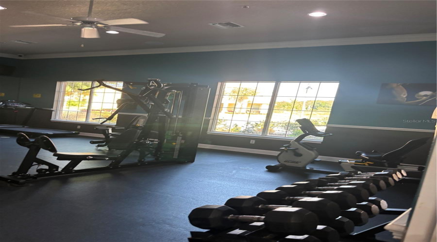 Workout Area