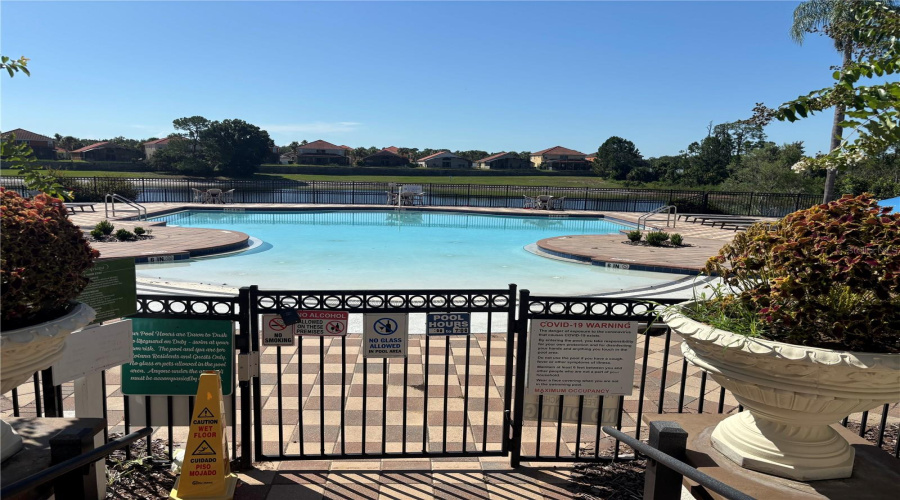 Pool And Pond Outside Of Codys Cabana