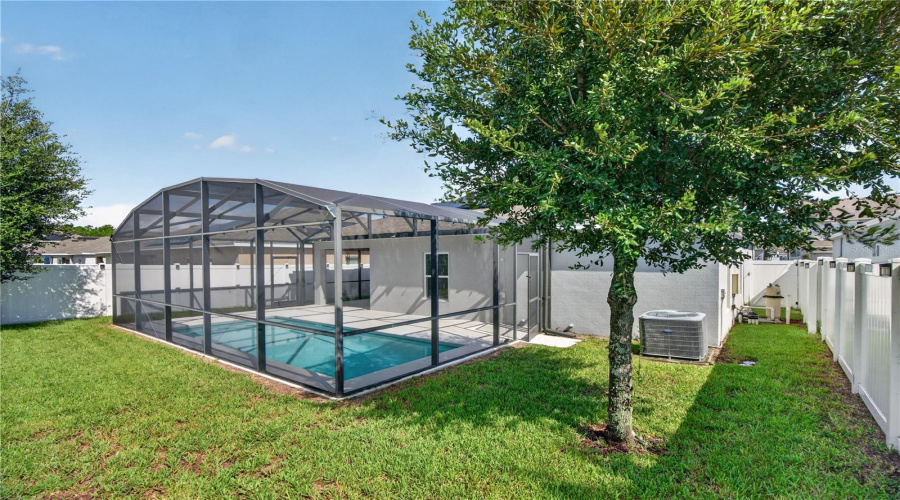 Backyard And Pool