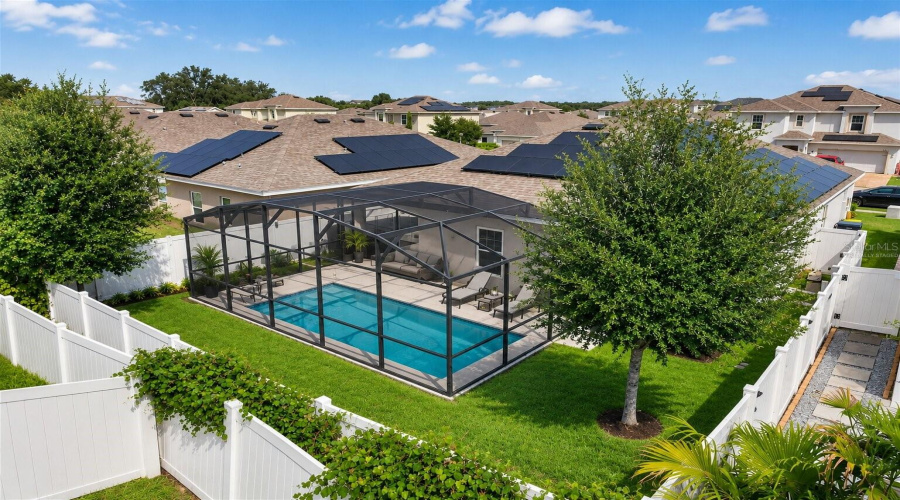 Virtually Staged Backyard And Pool