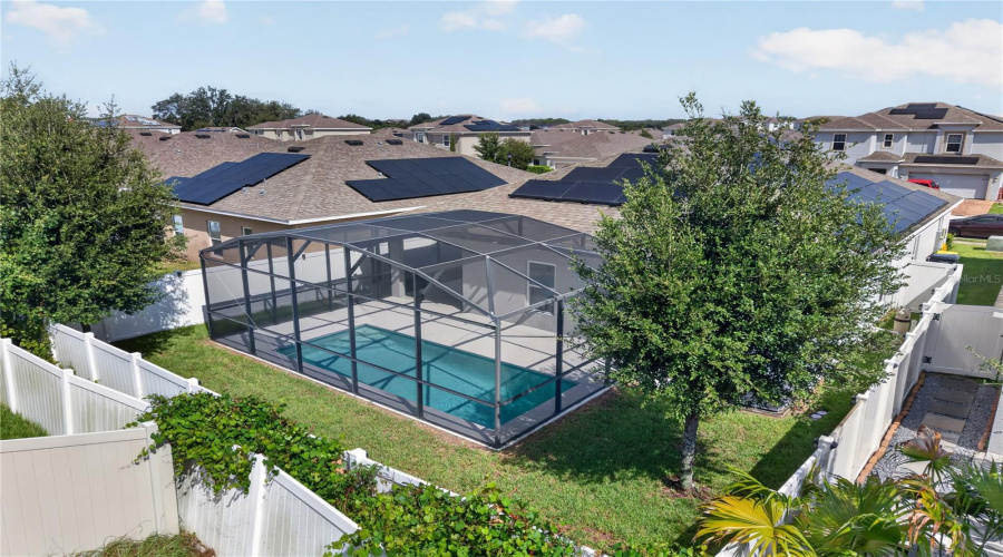 Backyard And Pool