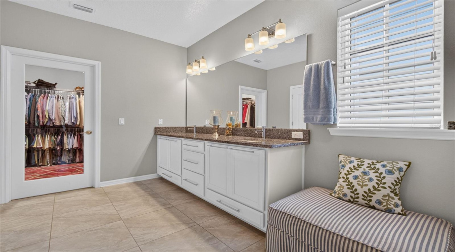 Primary Bathroom / Closet View