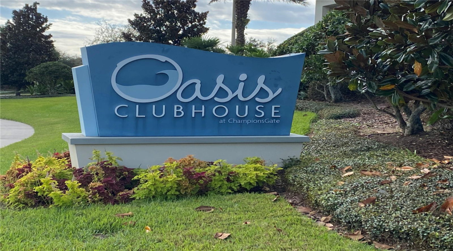 Oasis