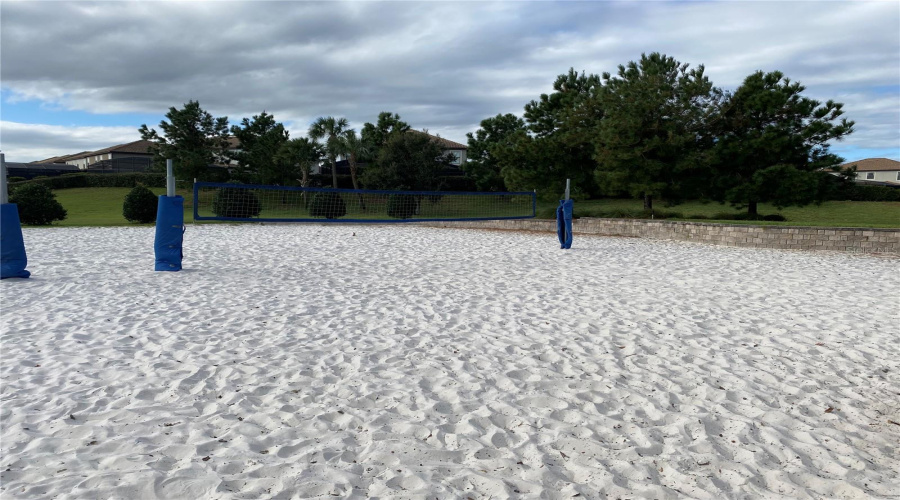 Oasis Volley Ball