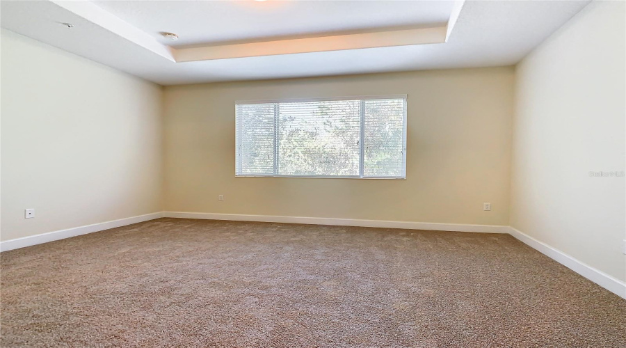 The Primary Suite With A Tray Ceiling Looking To The Conservation Area In The Back.