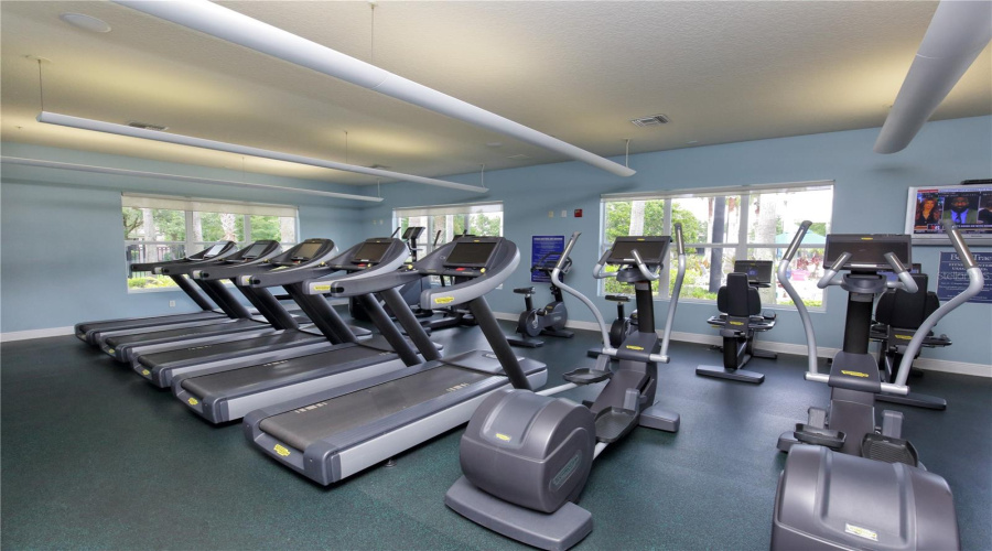 The Gym.