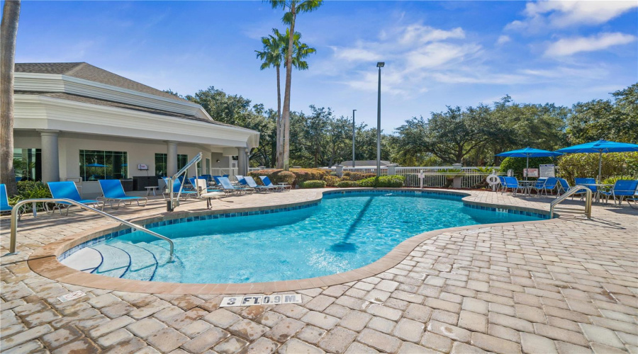 Orlando, Florida 32836, 1 Bedroom Bedrooms, ,1 Bathroombathrooms,Residential,For Sale,Palm,0,Mfrtb8516594