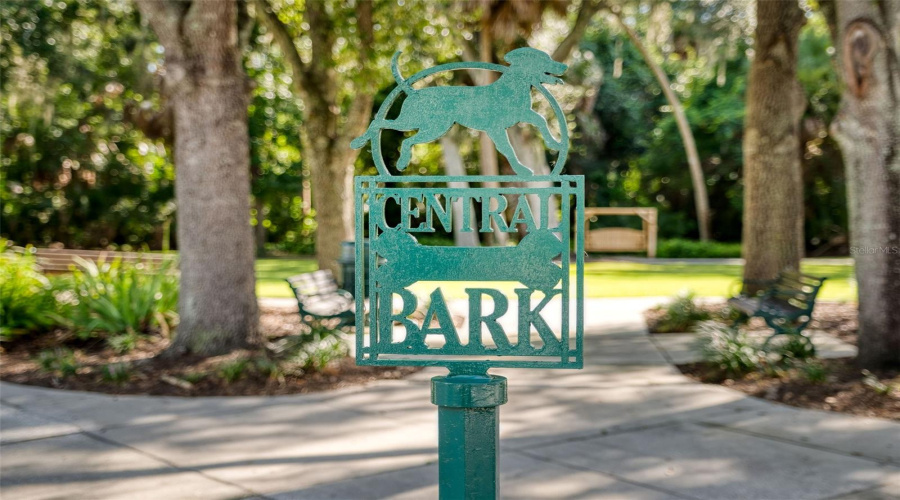 Dog Parks And Runs