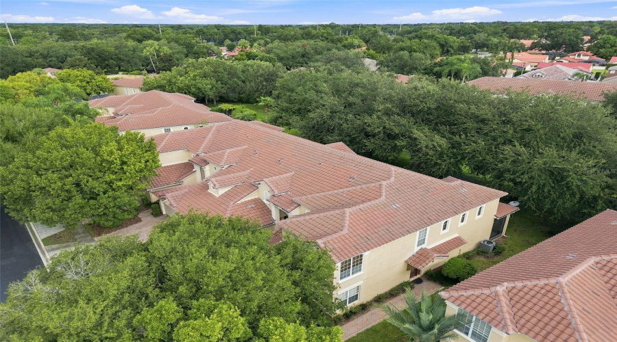 Orlando, Florida 32836, 3 Bedroom Bedrooms, ,2 Bathroombathrooms,Residential,For Sale,Via Bella Notte,0,Mfro6438875