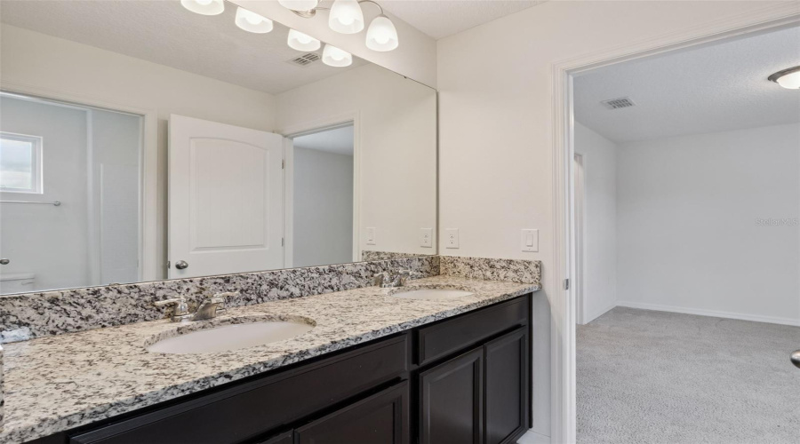 Jack And Jill Bathroom