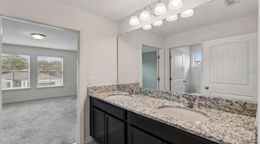 Jack And Jill Bathroom