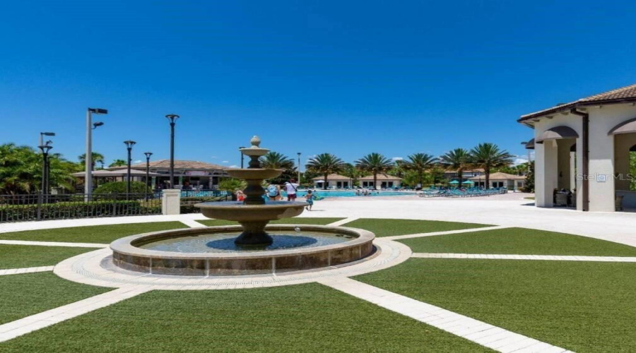 The Oasis
