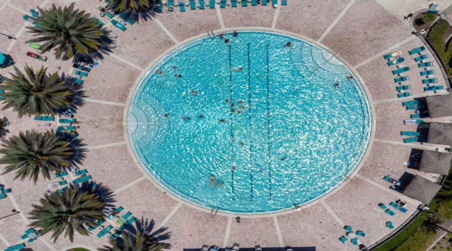 The Oasis Pool
