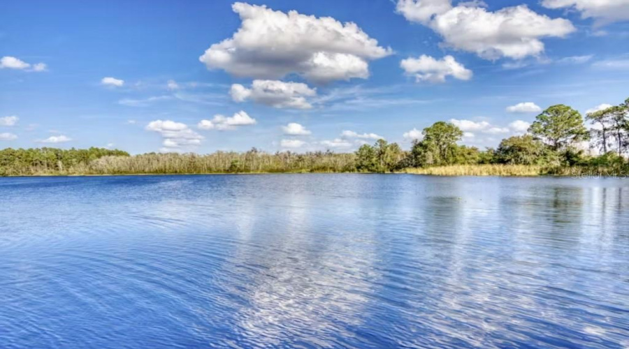 Davenport, Florida 33897, 3 Bedroom Bedrooms, ,2 Bathroombathrooms,Residential,For Sale,Rum,0,Mfrtb8491939