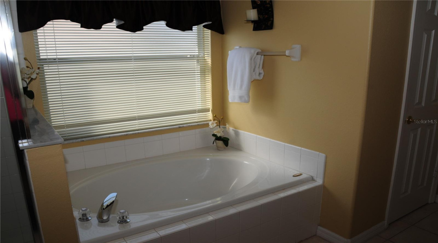 Kissimmee, Florida 34747, 5 Bedroom Bedrooms, ,4 Bathroombathrooms,Residential,For Sale,Indian Creek,0,Mfro6395293