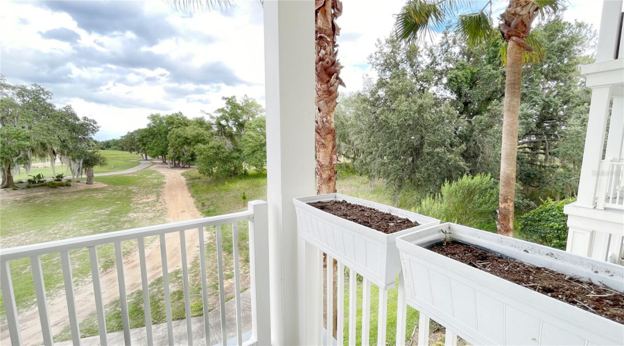 View From Rear Balcony