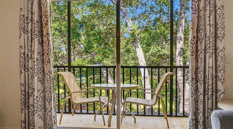 Screened Patio