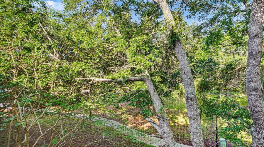 View From Patio