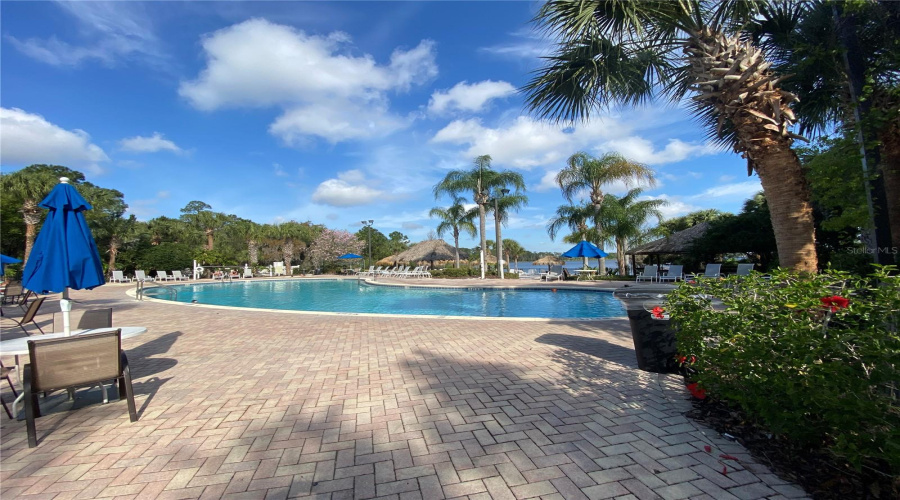 Multiple Pools Within The Resort!
