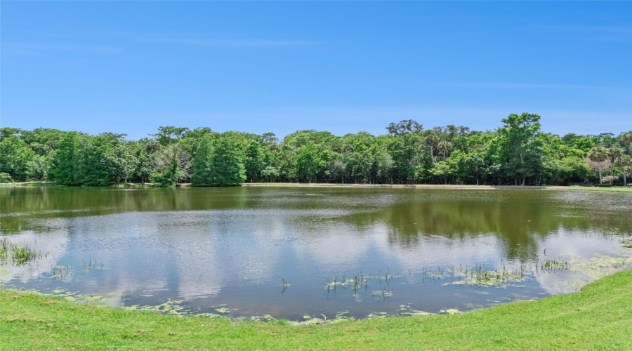 Celebration, Florida 34747, 5 Bedroom Bedrooms, ,4 Bathroombathrooms,Residential,For Sale,Croton,0,Mfro6409064