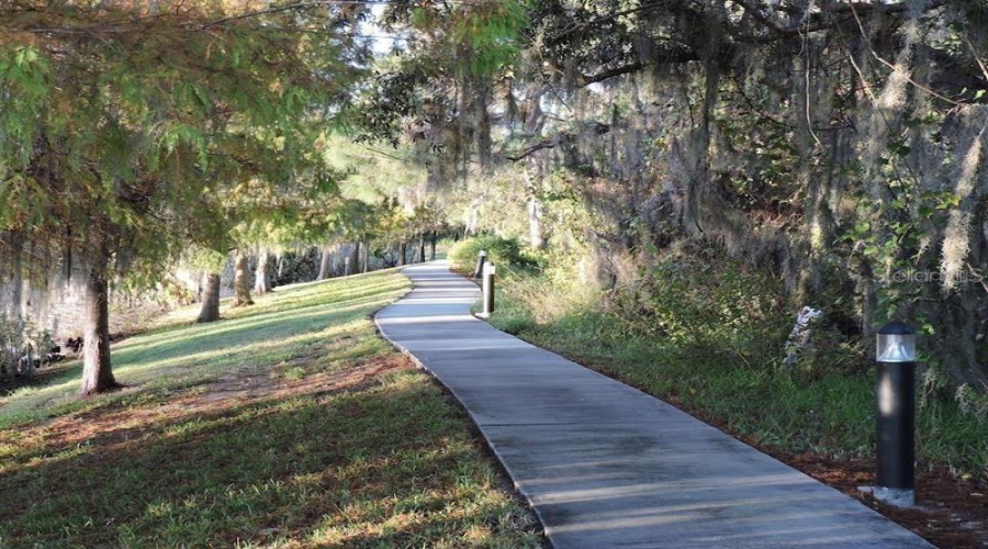 Davenport, Florida 33897, 3 Bedroom Bedrooms, ,2 Bathroombathrooms,Residential,For Sale,New Providence Promenade,0,Mfrtb8463746