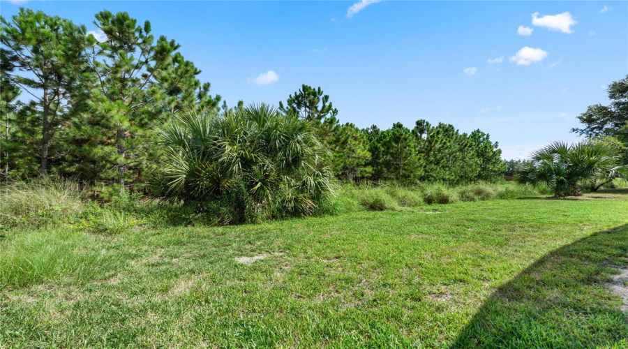 Kissimmee, Florida 34747, 4 Bedroom Bedrooms, ,3 Bathroombathrooms,Residential,For Sale,Autumn Creek,0,Mfrs5155574
