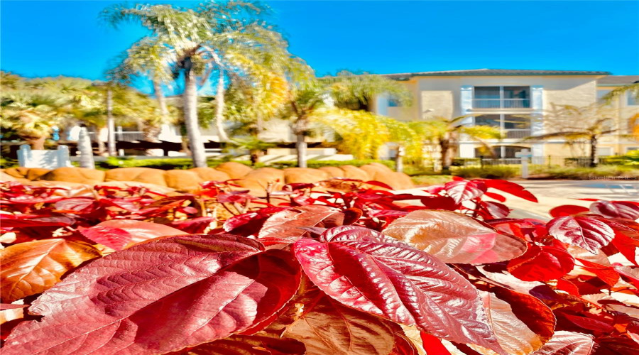 Kissimmee, Florida 34747, 3 Bedroom Bedrooms, ,2 Bathroombathrooms,Residential,For Sale,Dunes,0,Mfrs5152970