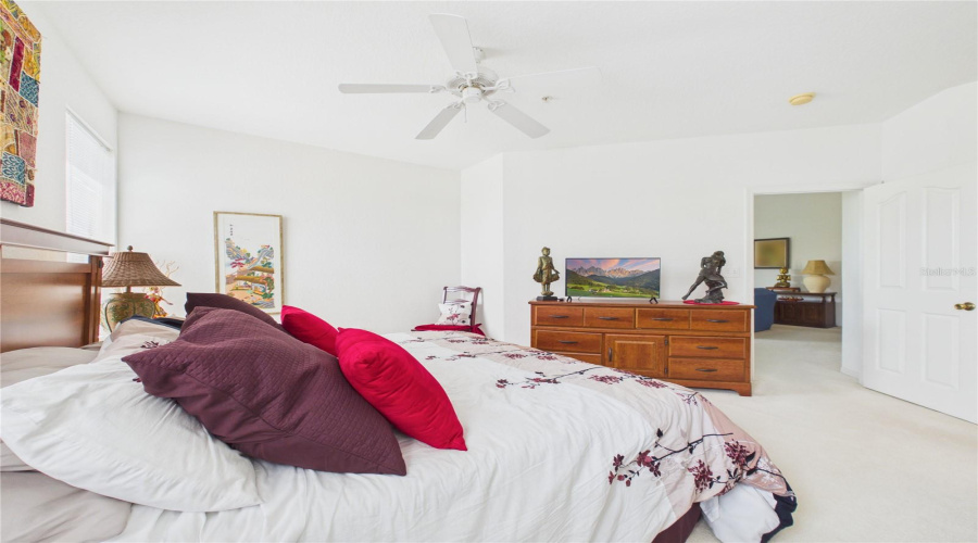 Primary/Master Bedroom