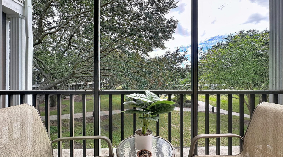 Master Patio