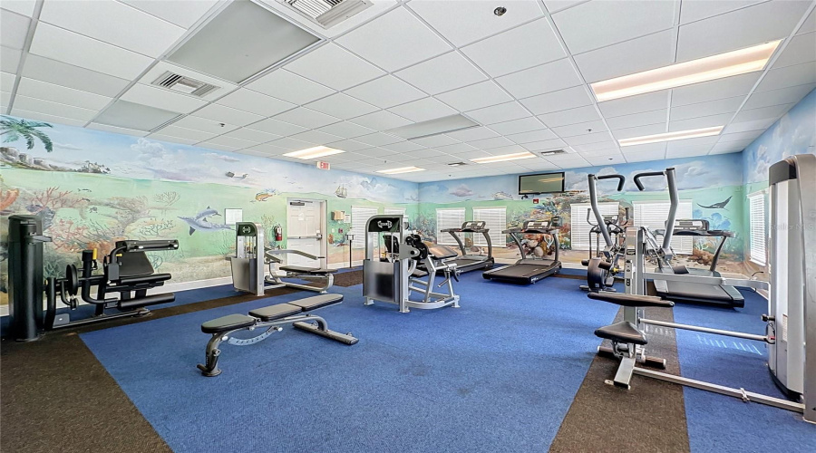 Gym