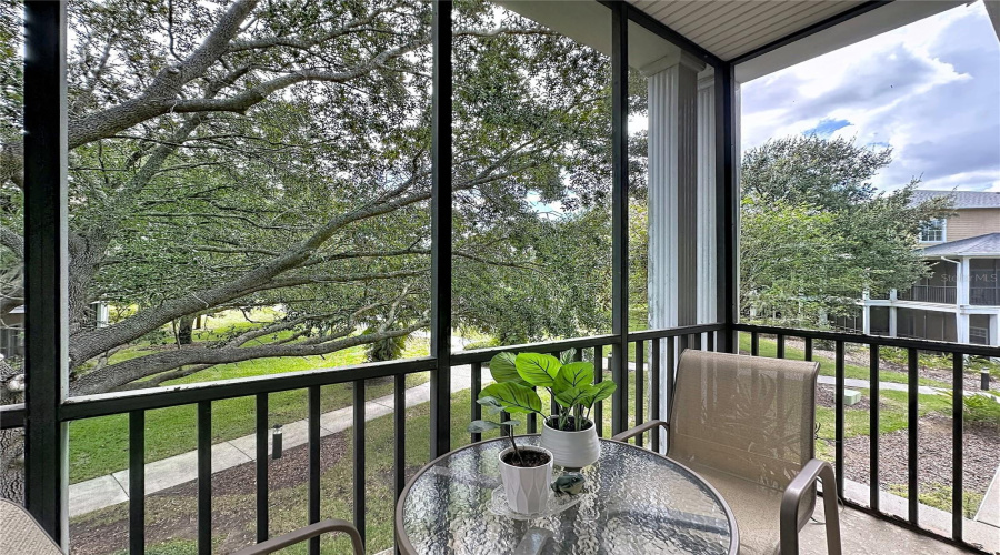 Living Patio