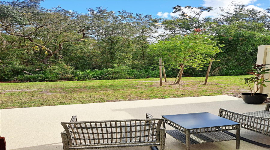 Patio View
